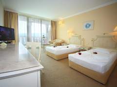 Zimmerbild 8