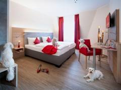 Zimmerbild 11