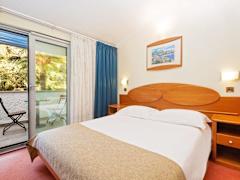 Zimmerbild 11