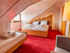 Zimmerbild 11