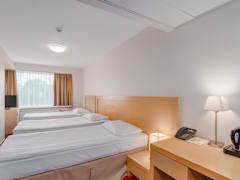 Zimmerbild 10