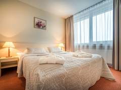 Zimmerbild 7