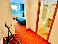 Zimmerbild 16