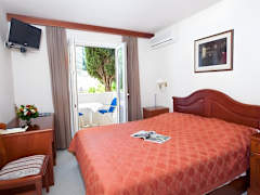 Zimmerbild 8