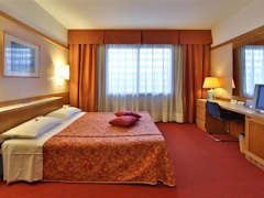 Zimmerbild 9