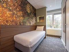 Zimmerbild 10