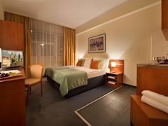 Zimmerbild 9