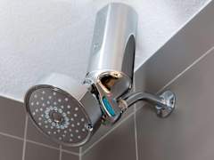 Zimmerbild 11