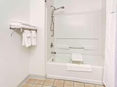 Zimmerbild 23