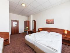 Zimmerbild 11