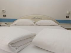 Zimmerbild 12