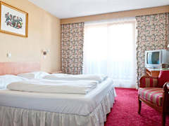Zimmerbild 8