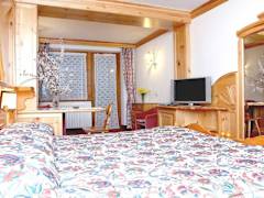 Zimmerbild 7