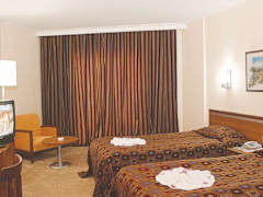 Zimmerbild 5