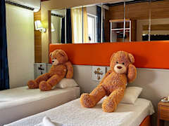 Zimmerbild 5