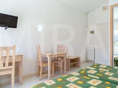 Zimmerbild 9