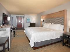 Zimmerbild 9