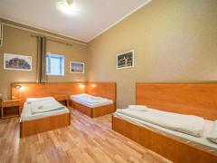 Zimmerbild 11