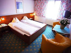 Zimmerbild 8