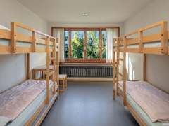 Zimmerbild 5