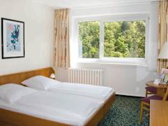 Zimmerbild 3