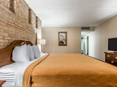 Zimmerbild 17