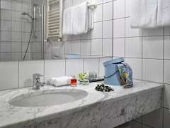 Zimmerbild 11