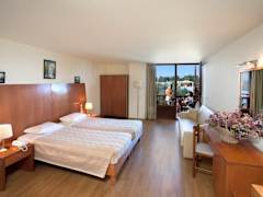 Zimmerbild 7