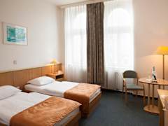 Zimmerbild 14