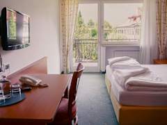 Zimmerbild 14