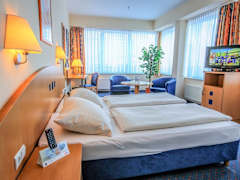 Zimmerbild 8