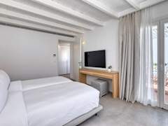 Zimmerbild 11
