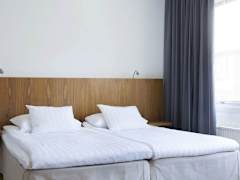 Zimmerbild 10