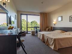 Zimmerbild 11