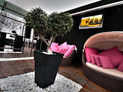 Zimmerbild 8