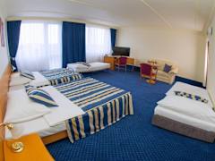 Zimmerbild 10