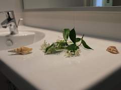 Zimmerbild 11