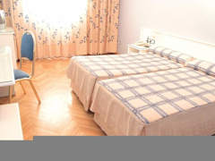 Zimmerbild 9