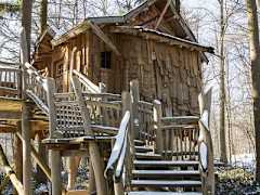 Zimmerbild 6