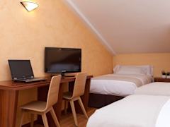 Zimmerbild 9