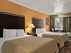 Zimmerbild 0