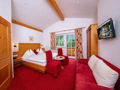 Zimmerbild 9