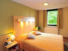 Zimmerbild 3