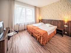 Zimmerbild 9