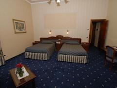 Zimmerbild 9