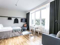 Zimmerbild 13