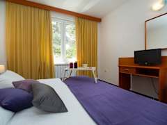 Zimmerbild 10