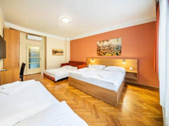 Zimmerbild 13