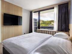 Zimmerbild 10