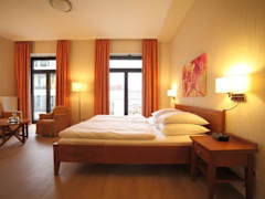 Zimmerbild 7